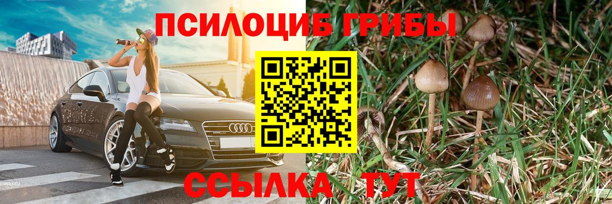Псилоцибиновые грибы Psilocybine cubensis Белогорск