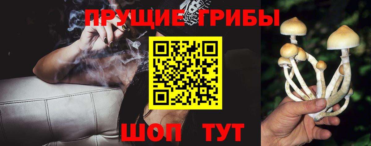 Галлюциногенные грибы Psilocybe  Вход с VPN  Белогорск 